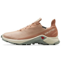 SALOMON Alphacross 3 Gtx