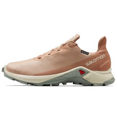 SALOMON Alphacross 3 Gtx