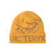 Arcteryx
