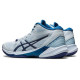 Asics Sky Elite FF MT 2
