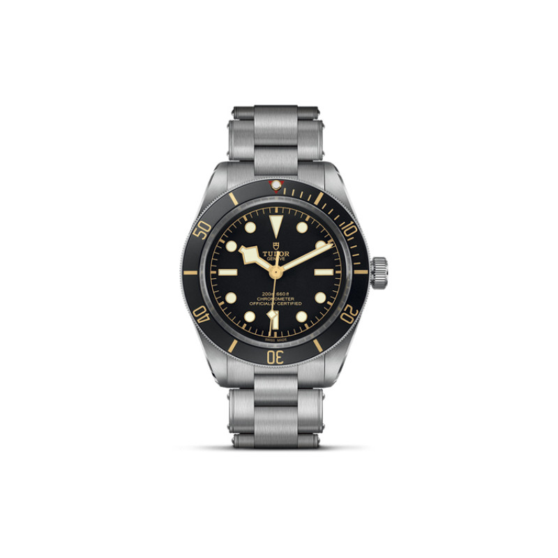 TUDOR 39mm M79030N-0001