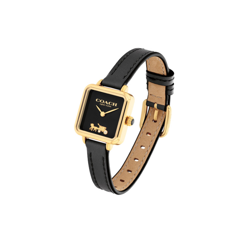 COACHCass 22mm 14504225