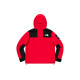 Supreme x THE NORTH FACE SS19 TNF