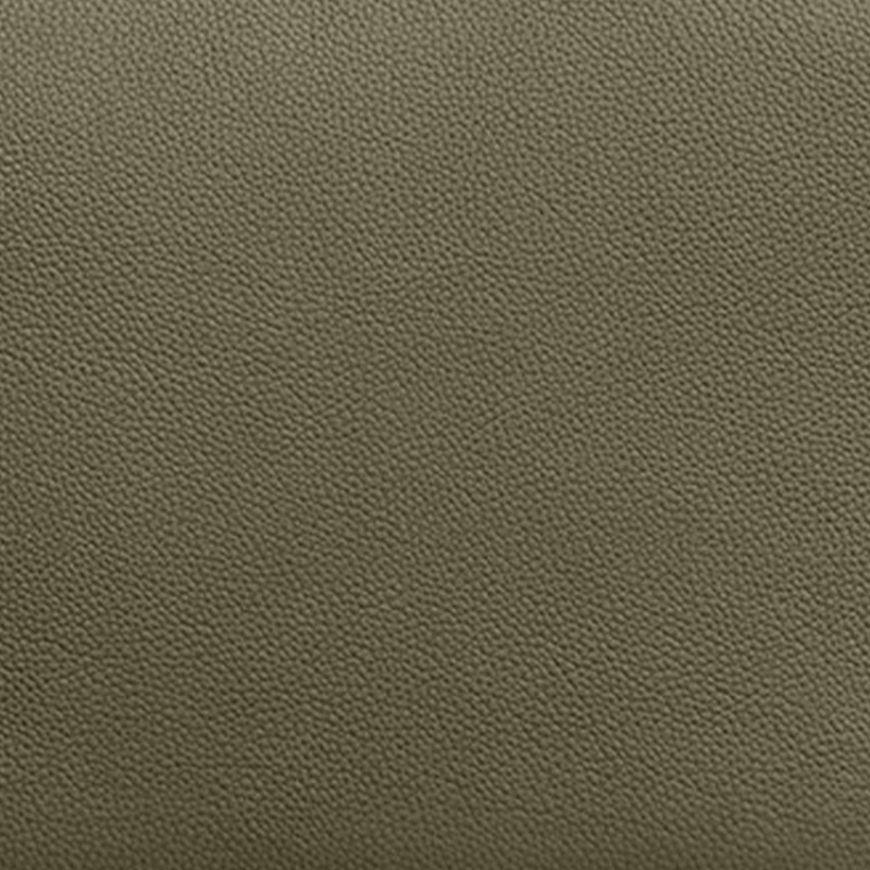 LOUIS VUITTON IPAD