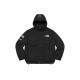 Supreme x x THE NORTH FACE Logo