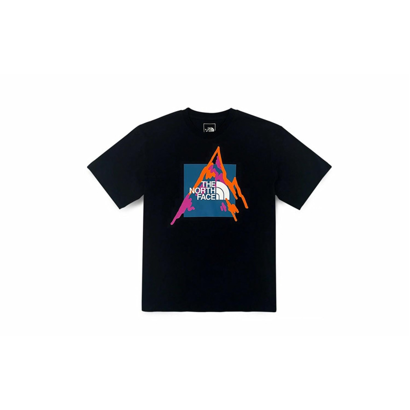 THE NORTH FACE SS23 LogoT