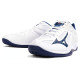 Mizuno Thunder Blade 3