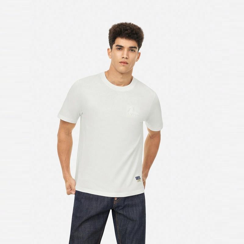 EVISU 2025 T