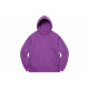 Supreme SS22 Week 1 Small Box Hooded Sweatshirt Box Logo