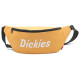 Dickies logo