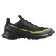 SALOMON ALPHACROSS 5 GTX
