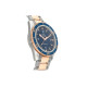 OMEGA 300 41mm 233.60.41.21.03.001
