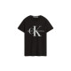 CKCalvin Klein T