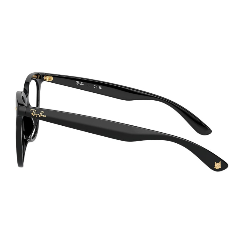 RayBan Logo