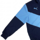 PUMA 2021-22 Logo