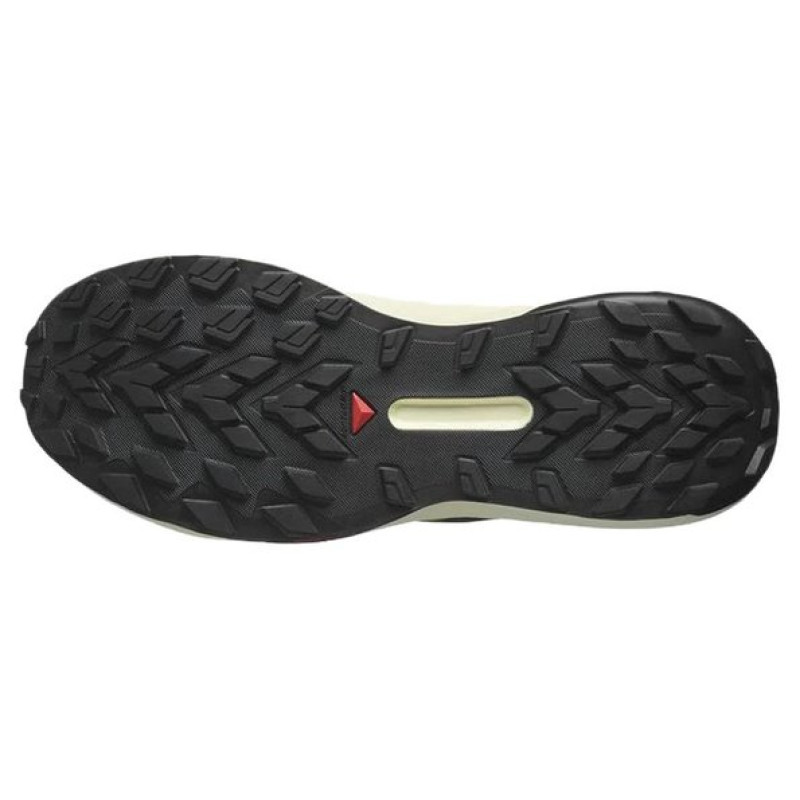 SALOMON Genesis