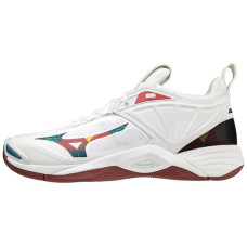 Mizuno Wave Momentum 2