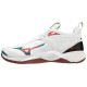 Mizuno Wave Momentum 2