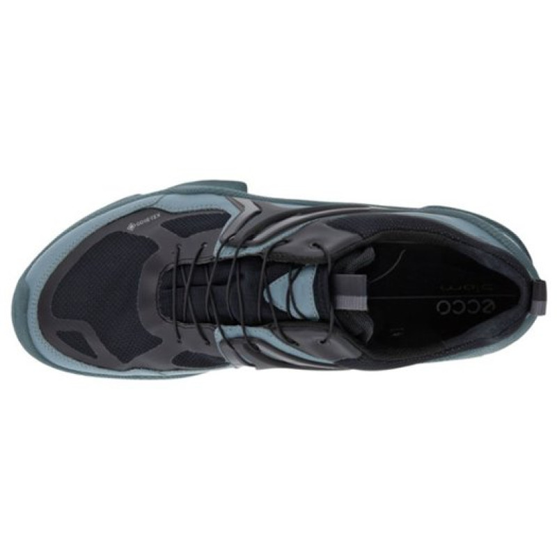 ecco Biom C Trail