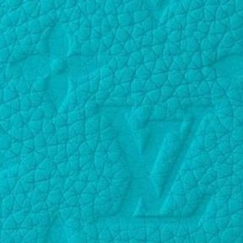 LOUIS VUITTON Multiple