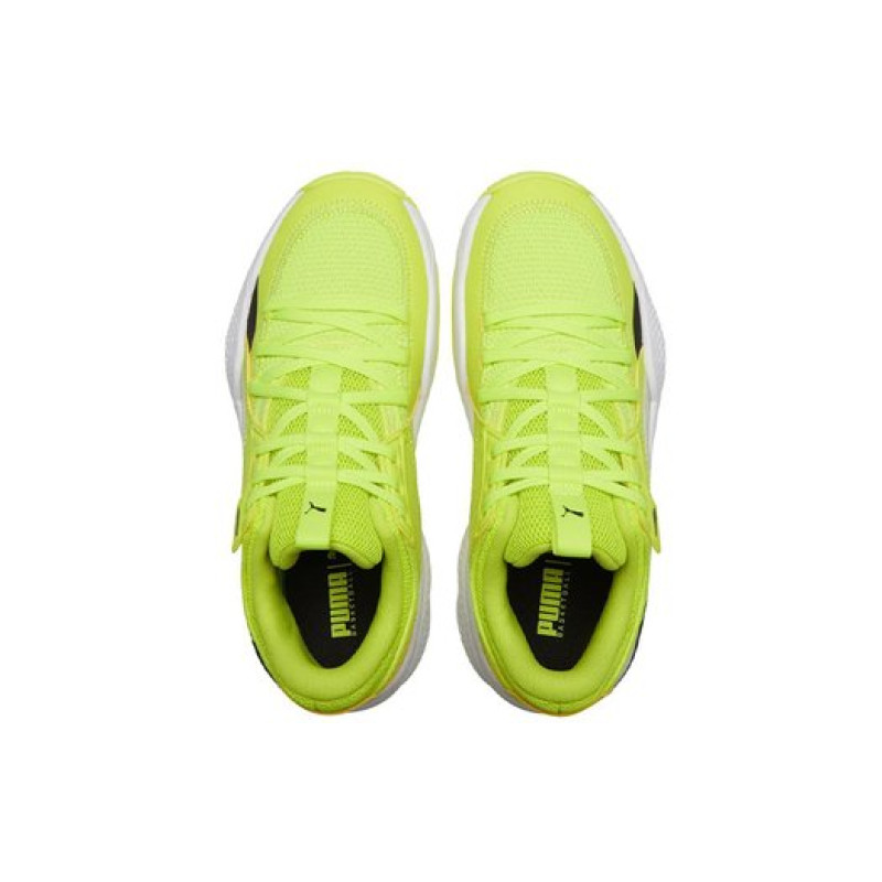 PUMA TPU