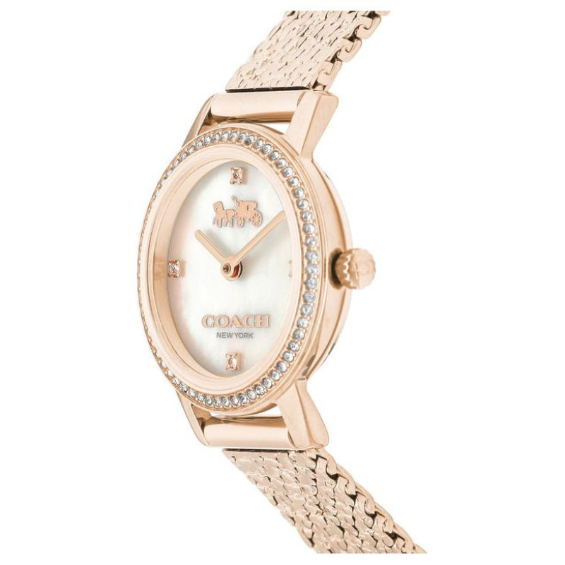 COACH 28mm 30m