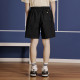 Champion Men's Rochester SS24