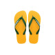 Havaianas Brazil Logo