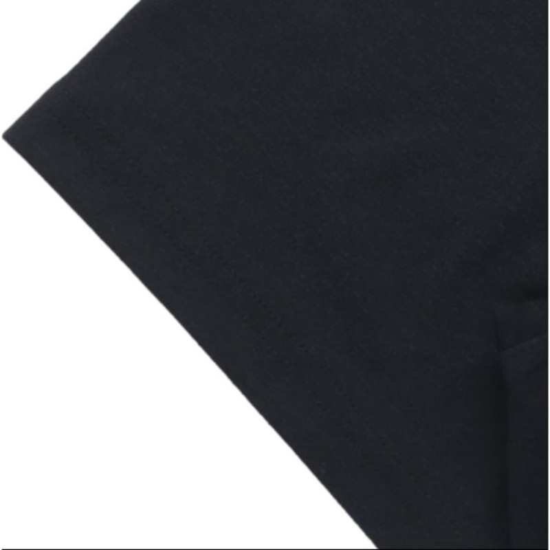 THE NORTH FACE T