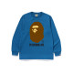A BATHING APE FW24 T