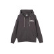 PUMA TEAM FZ HOODIE TR