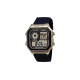 CASIOYOUTH 10AE-1200WHD-1A