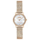 COACH 28mm 30m