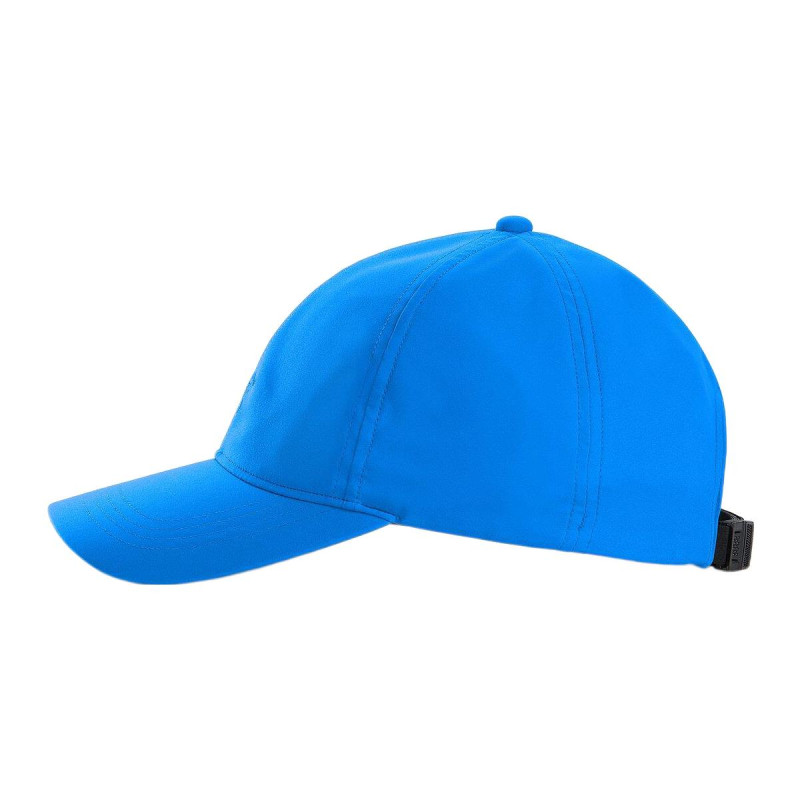 Arcteryx LOGO BIRD