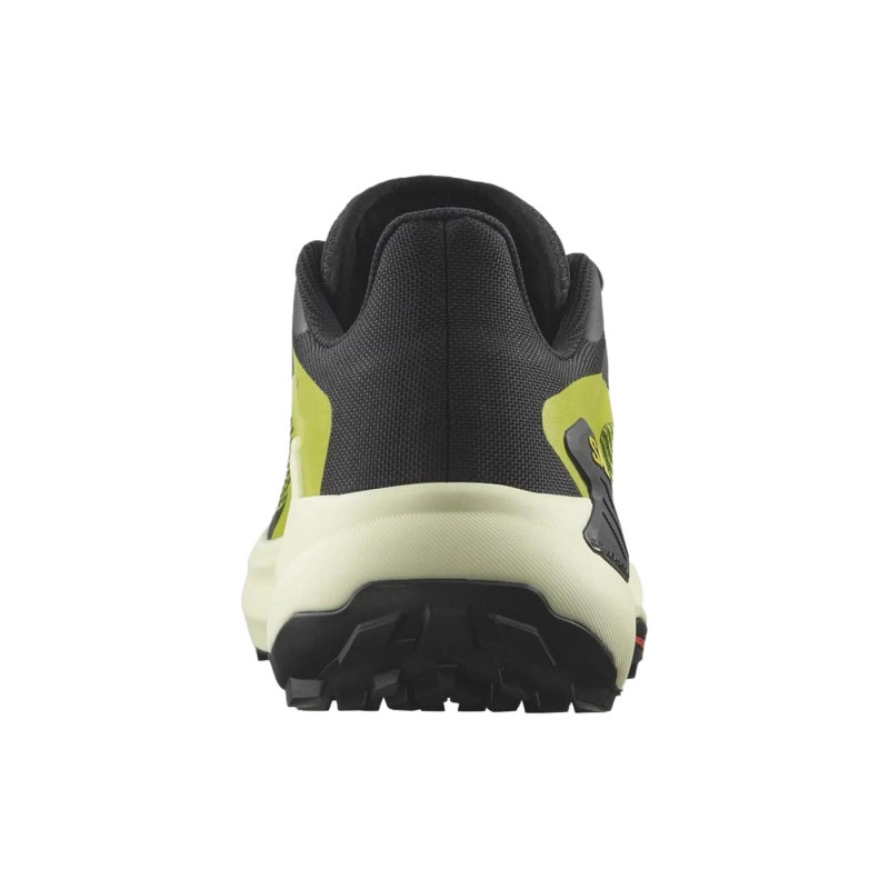 SALOMON Genesis