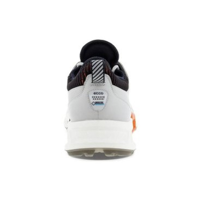 x ecco Biom C4