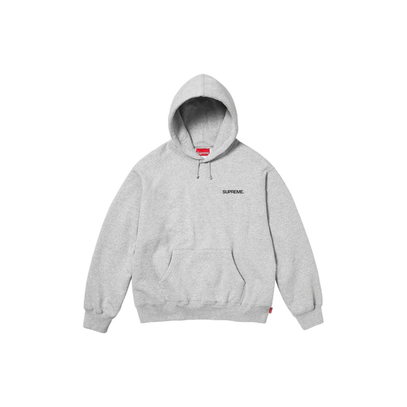 Supreme SS24 WEEK8 IMMORTAL HOODED SWEATSHIRT
