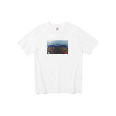 Supreme FW22 Week3 x Nike Supreme 2022 ACG Grid Tee T