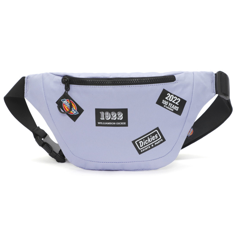 Dickies 100 logo