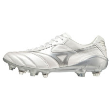 Mizuno Morelia