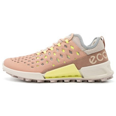 ecco 2.1