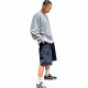 Dickies Logo