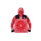 Supreme x THE NORTH FACE