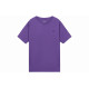 Champion T