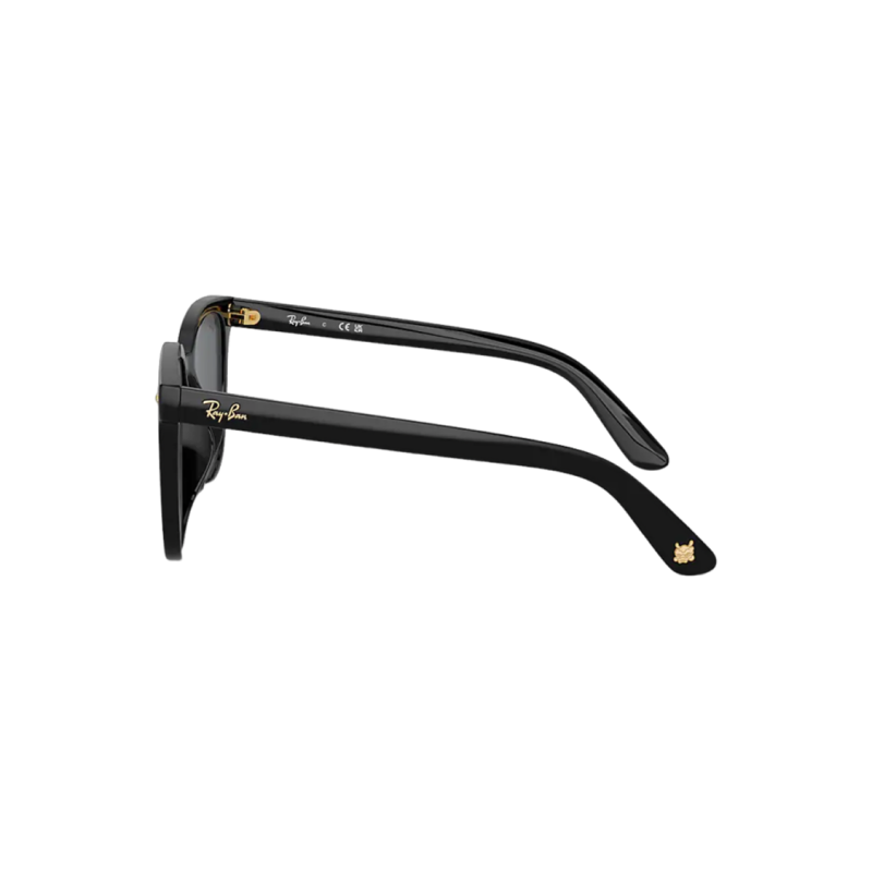RayBan