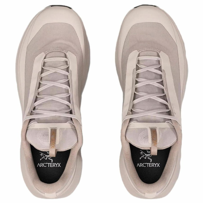 Arcteryx Norvan LD 4 GORE-TEX