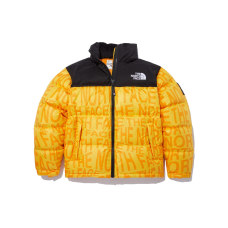 THE NORTH FACE Logo