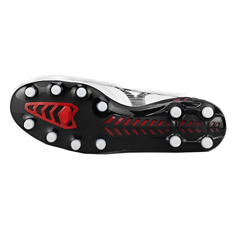 Mizuno