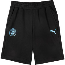 PUMA MCFC ESS