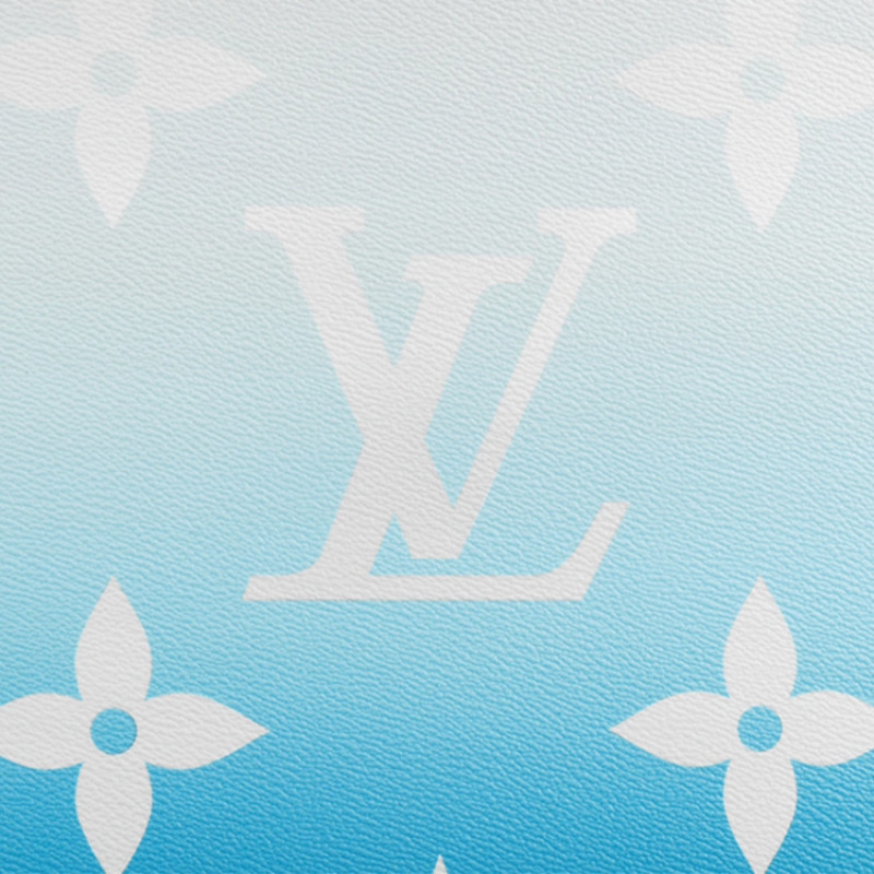 LOUIS VUITTON SummerONTHEGO